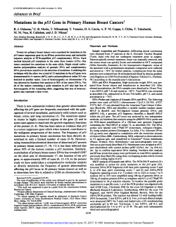 Mutations in the p53 Gene in Primary Human