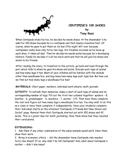 Centipede`s 100 Shoes - The Mathematics Shed