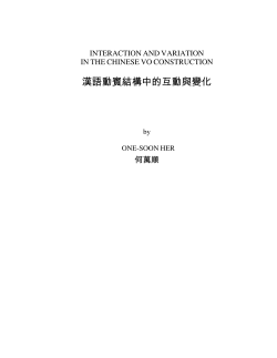 Interaction and Variation in the Chinese VO Construction