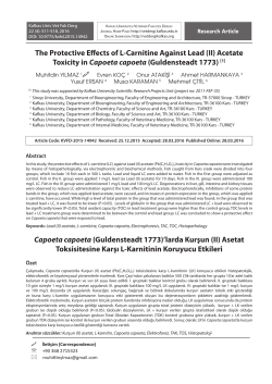 The Protective Effects of L-Carnitine Against Lead (II) Acetate