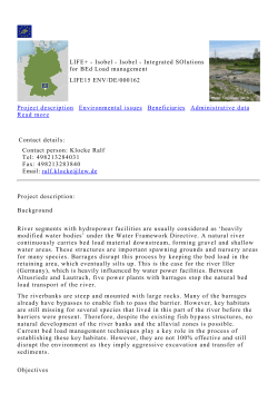 PDF version