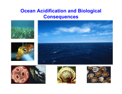 Ocean acidification ongoing decrease in the pH of the Earth`s