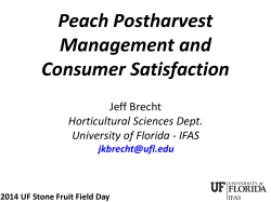 Peach Postharvest Management and Consumer Satisfaction