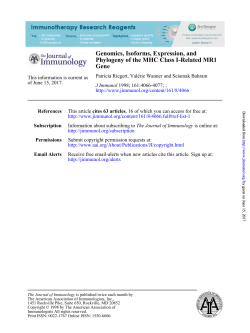 Genomics, Isoforms, Expression, and Phylogeny of the MHC Class I