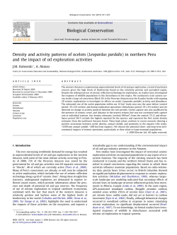 Density and activity patterns of ocelots (Leopardus