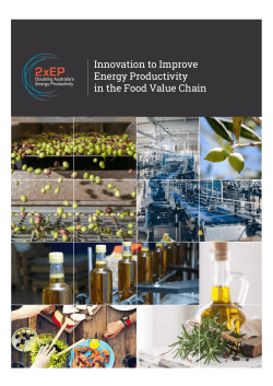 Innovation to Improve Energy Productivity in the Food Value