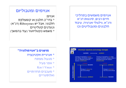 * (&rdquo; ) Ribosymes , ( ) * &rdquo; , , ,&rdquo; &rdquo; &rdquo; *