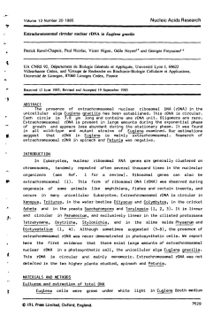 Extrachromosomal circular nuclear rDNA in Euglena gracilis