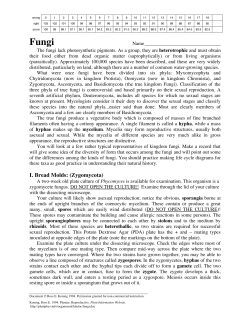 fungi - Home Page for Ross Koning