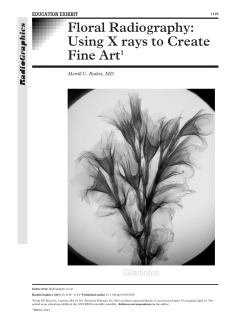 Floral Radiography: Using X rays to Create Fine Art1