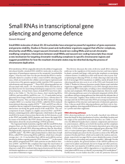 Moazed final.indd NS OLD.indd