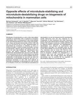 Microtubules and mitochondria - Journal of Cell Science