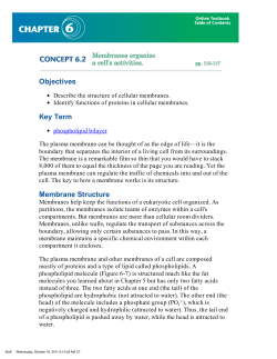 Chapter 6: Concept 6.2