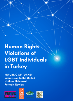 Human Rights Violations of LGBT Individuals in Turkey