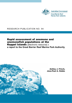 Rapid assessment of anemone and anemonefish