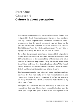 Sample chapter - Thorogood Publishing