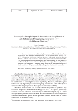 The analysis of morphological differentiation of the epidermis of