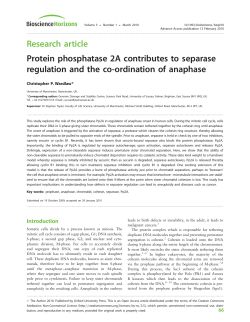 Protein phosphatase 2A contributes to separase regulation and the