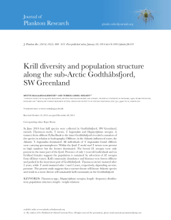 Krill diversity and population structure along the sub