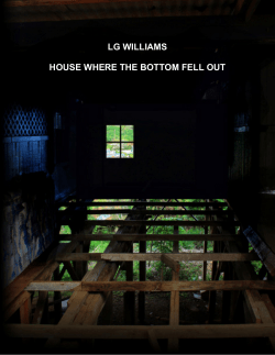 House Where The Bottom Fell Out (2007