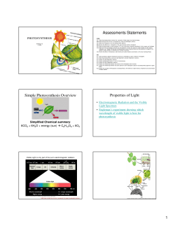 Photosynthesis IB - hrsbstaff.ednet.ns.ca