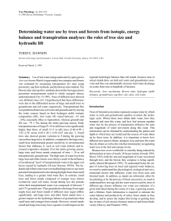Determining water use by trees and forests from isotopic, energy