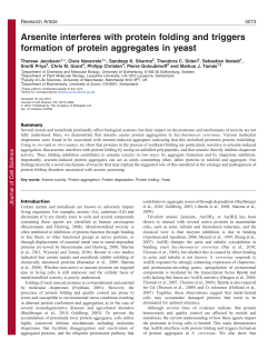 Arsenite interferes with protein folding and triggers formation of