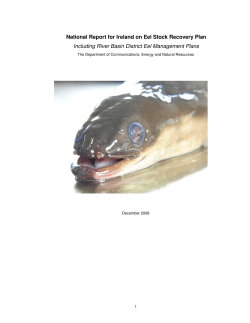 National Report for Ireland on Eel Stock Recovery Plan Including