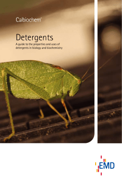 detergents handbook