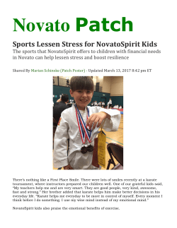 Novato Patch - NovatoSpirit