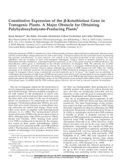 Constitutive Expression of the &szlig;-Ketothiolase