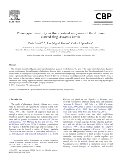 Phenotypic flexibility in the intestinal enzymes of the