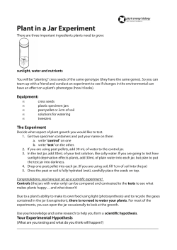 Plant in a Jar Experiment