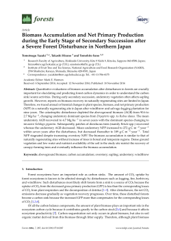 Biomass Accumulation and Net Primary Production during the Early