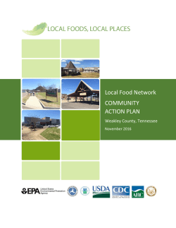 the LFN Goals and Actions UPDATED.