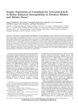 Ectopic Expression of Constitutively Activated