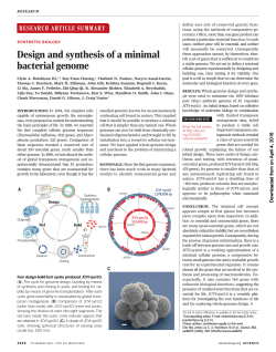 Design and synthesis of a minimal bacterial genome