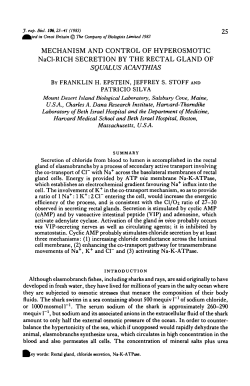 MECHANISM AND CONTROL OF HYPEROSMOTIC NaCl