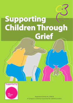 Cruse Child Leaflet corrected.indd
