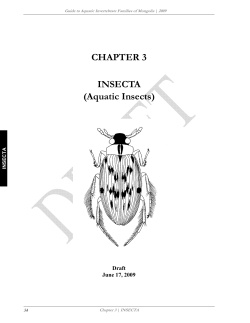 CHAPTER 3 INSECTA (Aquatic Insects)