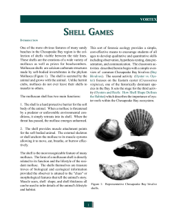 Shell Games - Virginia Institute of Marine Science