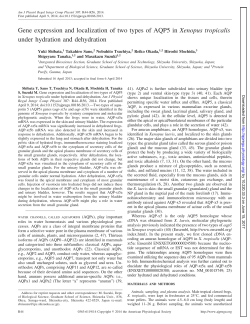 Gene expression and localization of two types of AQP5