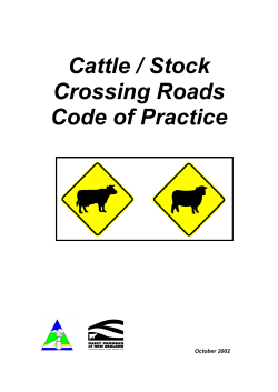 Cattle / Stock Crossing Roads