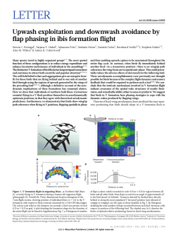 Upwash exploitation and downwash avoidance by flap phasing in