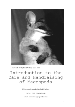 introduction to the care and raising of macropods