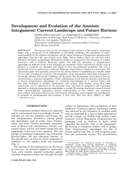Development and Evolution of the Amniote Integument