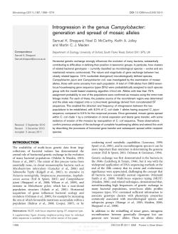 generation and spread of mosaic alleles
