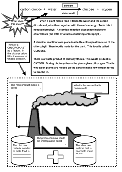 carbon dioxide + water glucose + oxygen