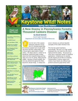 Keystone Wild! Notes