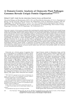 A Domain-Centric Analysis of Oomycete Plant